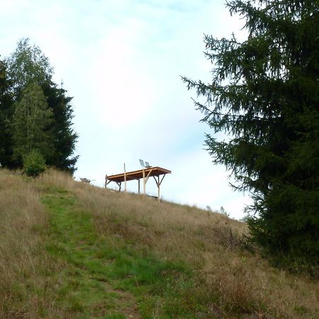 Ein Platz Fuer Ruhe Und Naturgenuss Зебниц Екстериор снимка