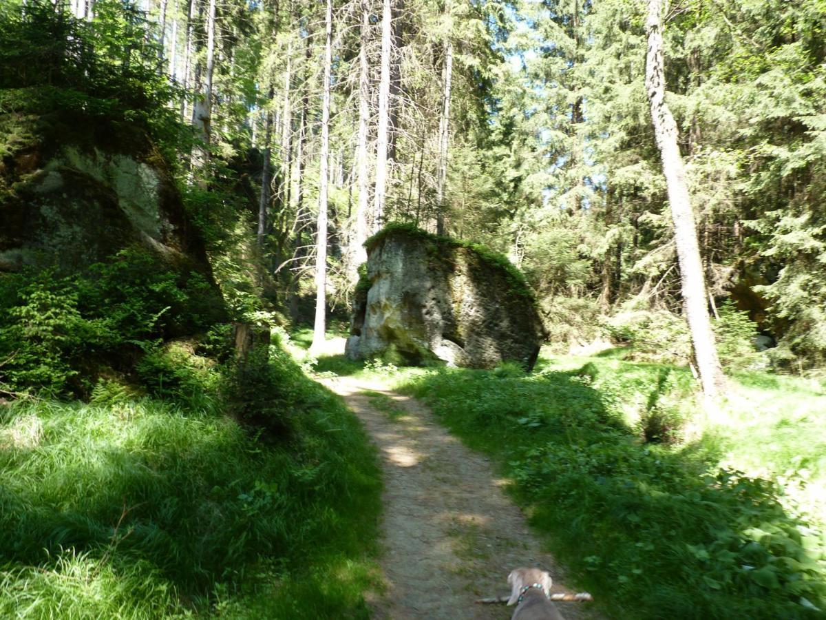 Ein Platz Fuer Ruhe Und Naturgenuss Зебниц Екстериор снимка