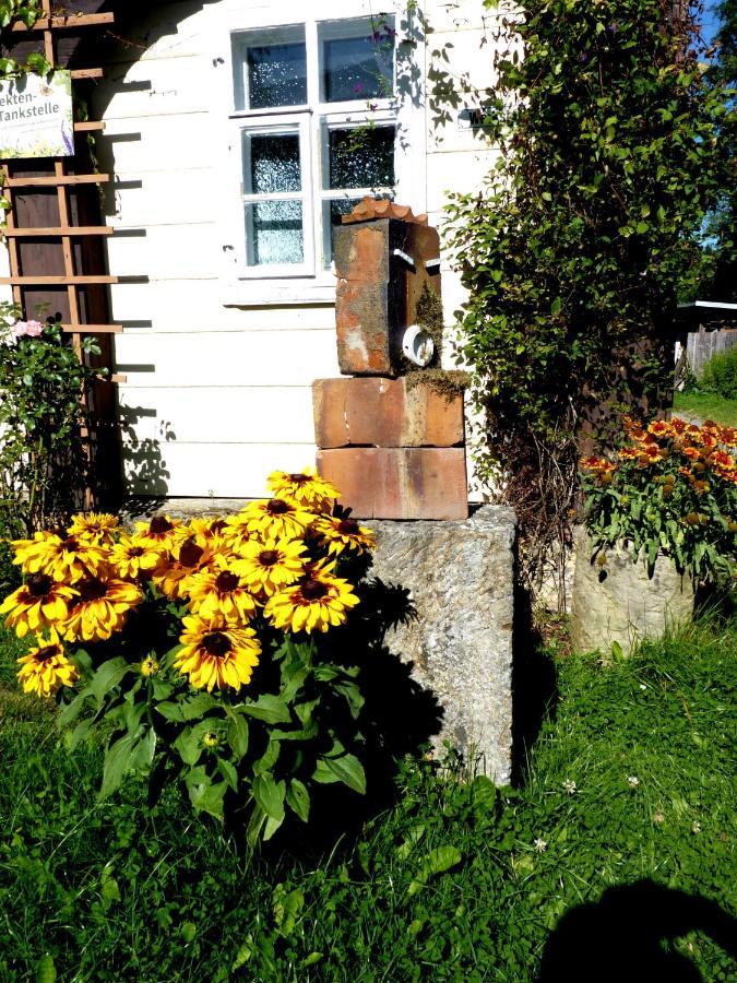 Ein Platz Fuer Ruhe Und Naturgenuss Зебниц Екстериор снимка