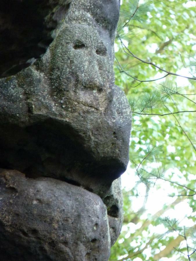Ein Platz Fuer Ruhe Und Naturgenuss Зебниц Екстериор снимка