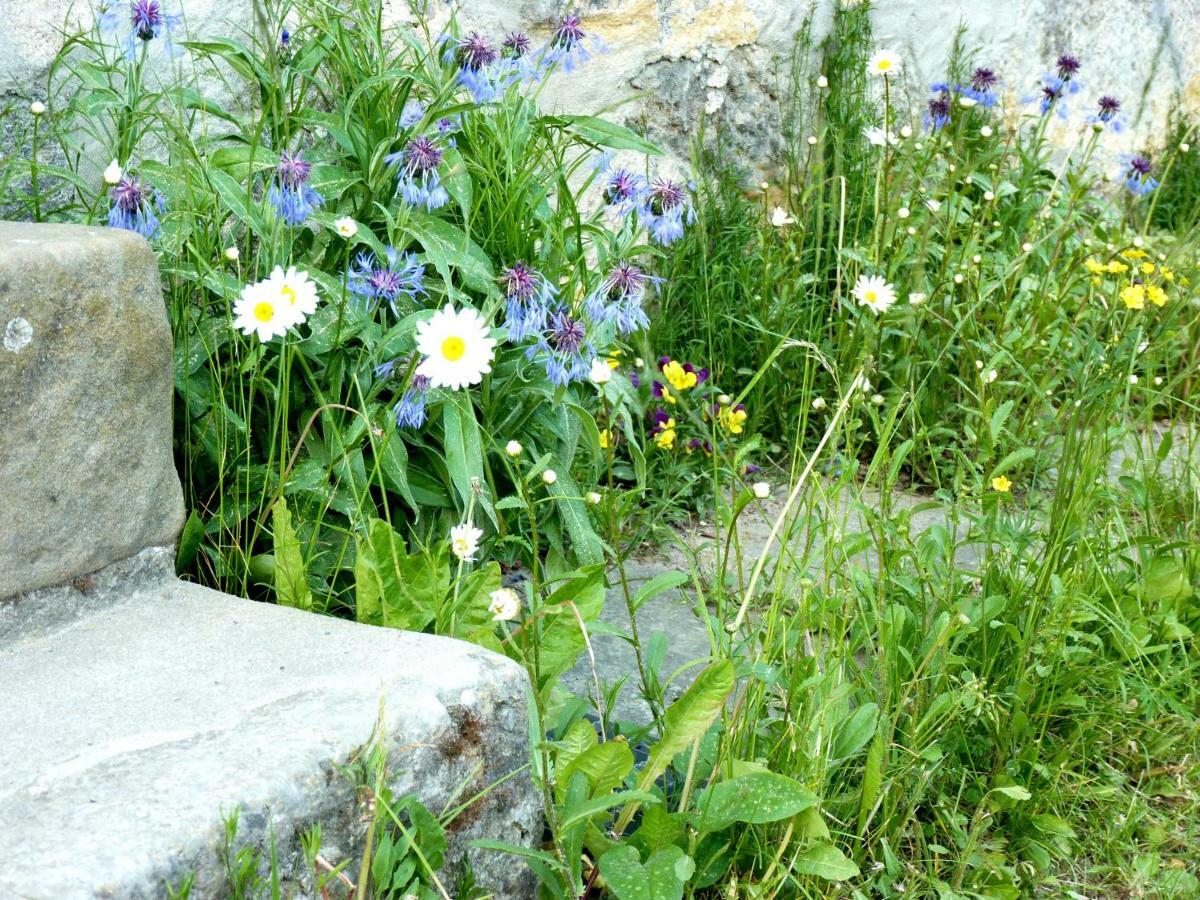 Ein Platz Fuer Ruhe Und Naturgenuss Зебниц Екстериор снимка